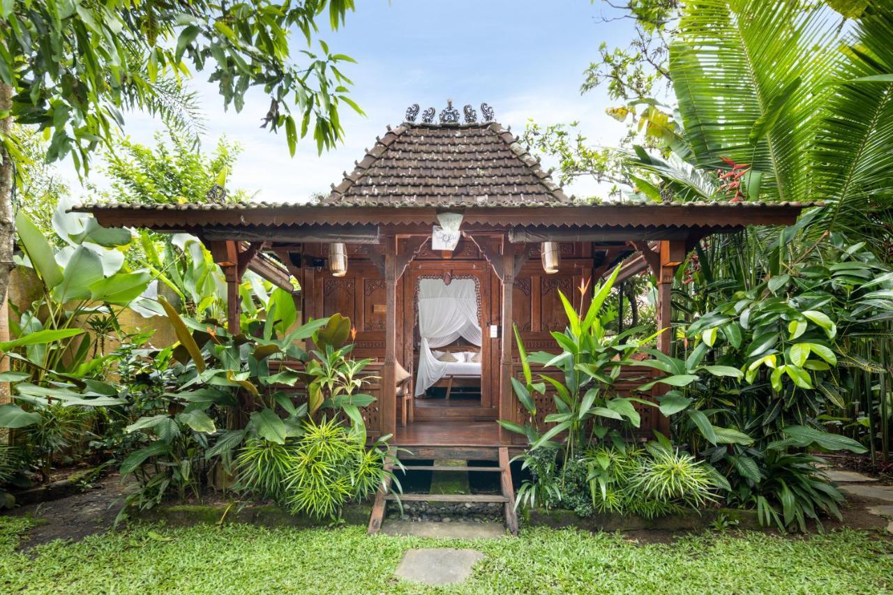 Suite en Bois avec Accès à la Piscine