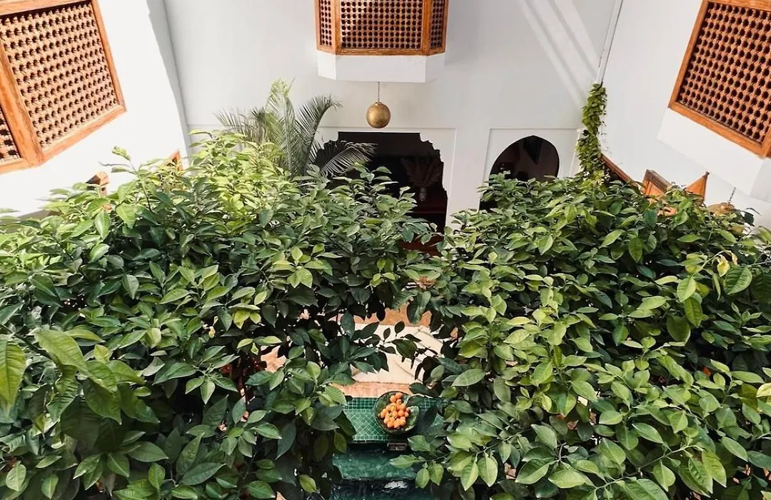 Riad privé Sadaka Bassin Rooftop-1