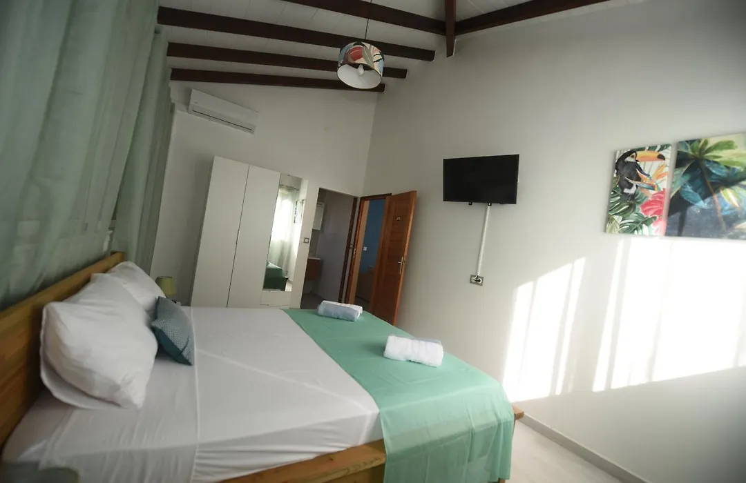 Le Papillon Tropical , aile droite-1