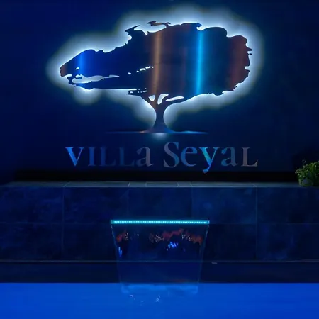 Villa Seyal - avec piscine - jacuzzi - sauna&climatisation-2