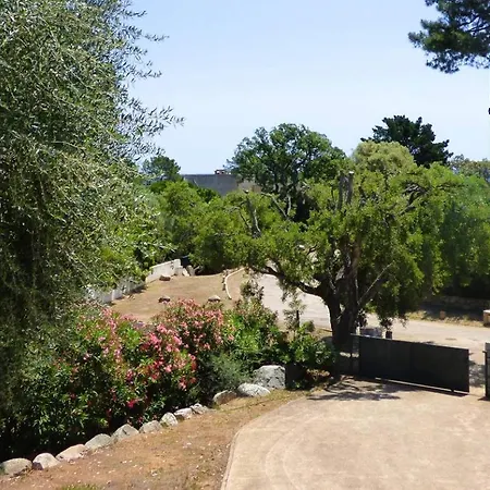 Villa Stella Diana, 12 Pers, 100 M Plage-3